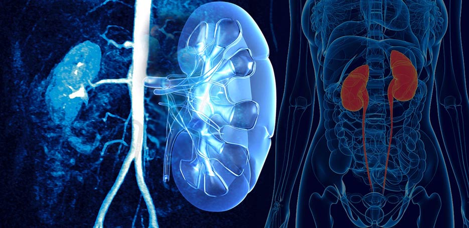 Безоперационое лечение в клинике Harvard medical | http://www.harvardmedical.com.ua/